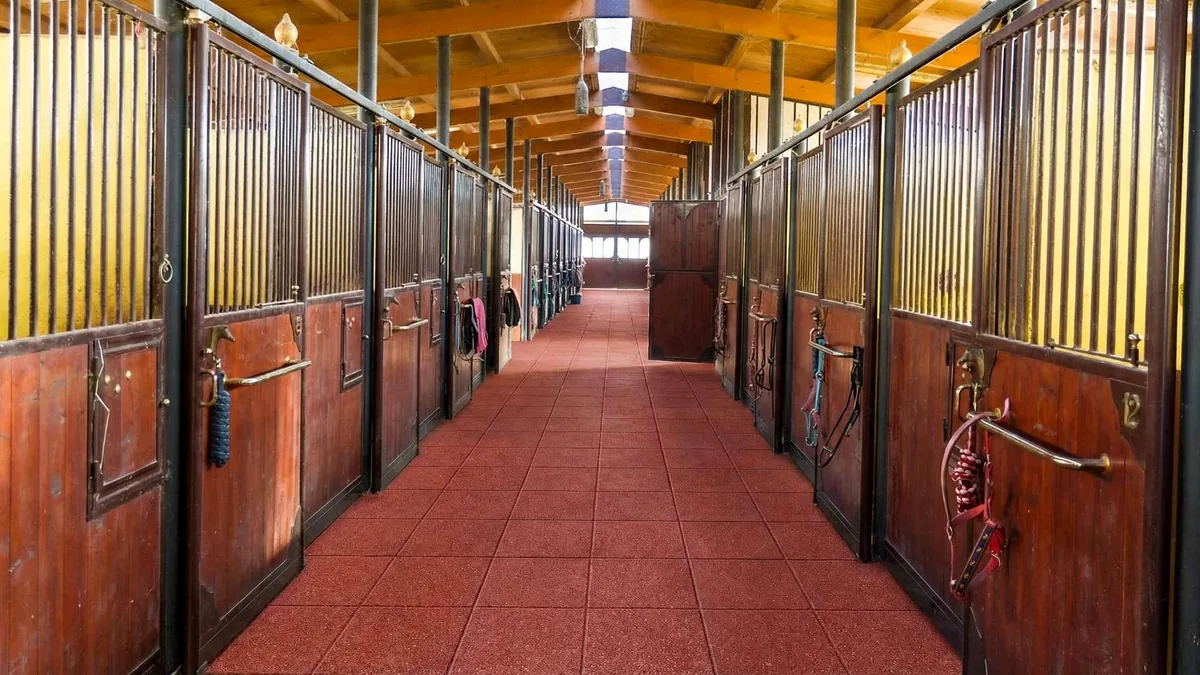 Revêtement de sol modulaire ECO-BOX en caoutchouc recyclé installé dans le couloir d'une écurie