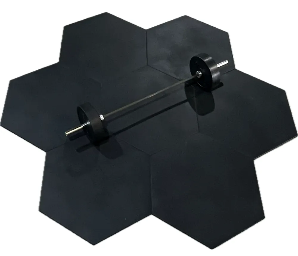 ECO-GYM TOP ESA 4 Conjunto de discos alveolares ECO-GYM TOP ESA con barra