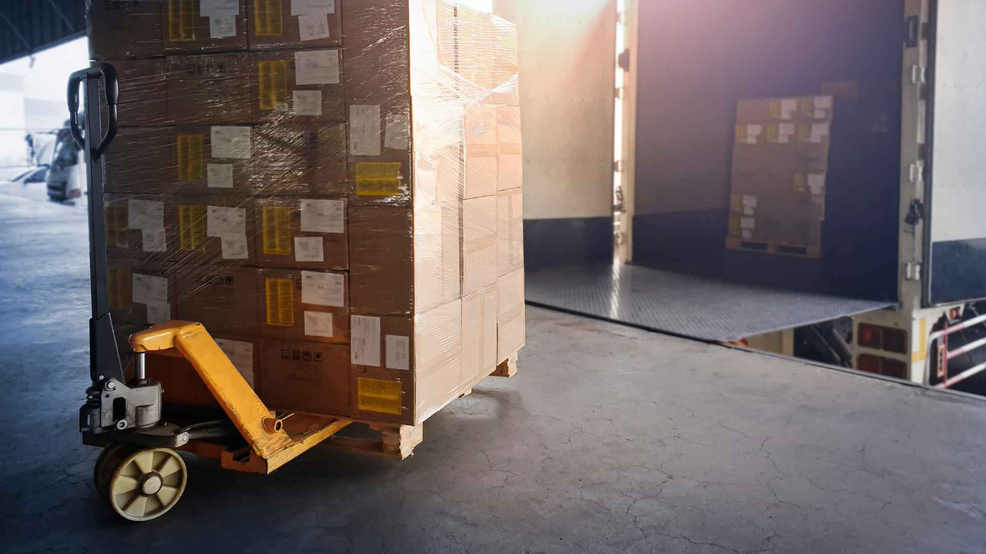 ECO-KARGRIP 1 Eine Palette mit Waren, die in den Laderaum eines LKWs transportiert wird