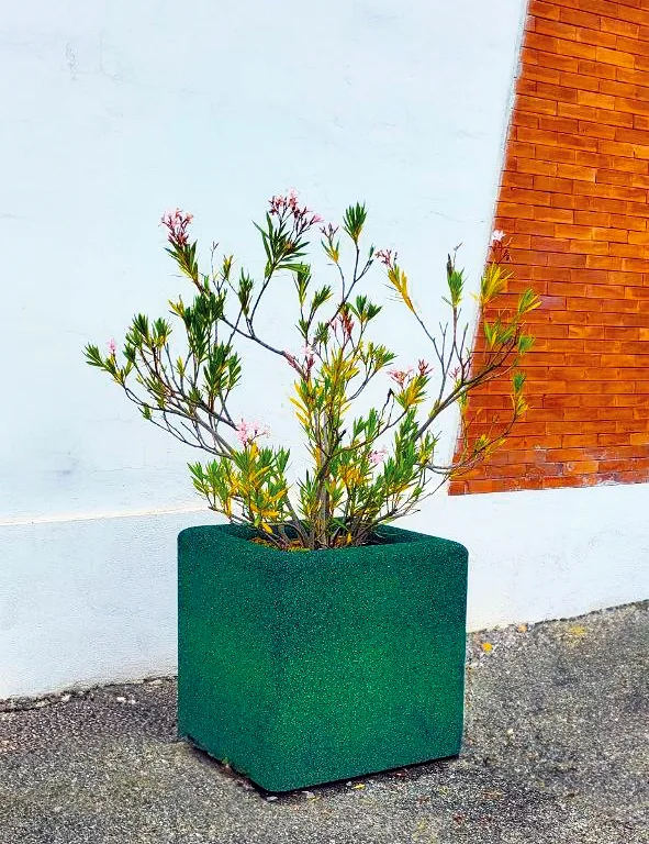 ECO-PLANTER L 7 Fioriera ECO-PLANTER L verde con arbusto